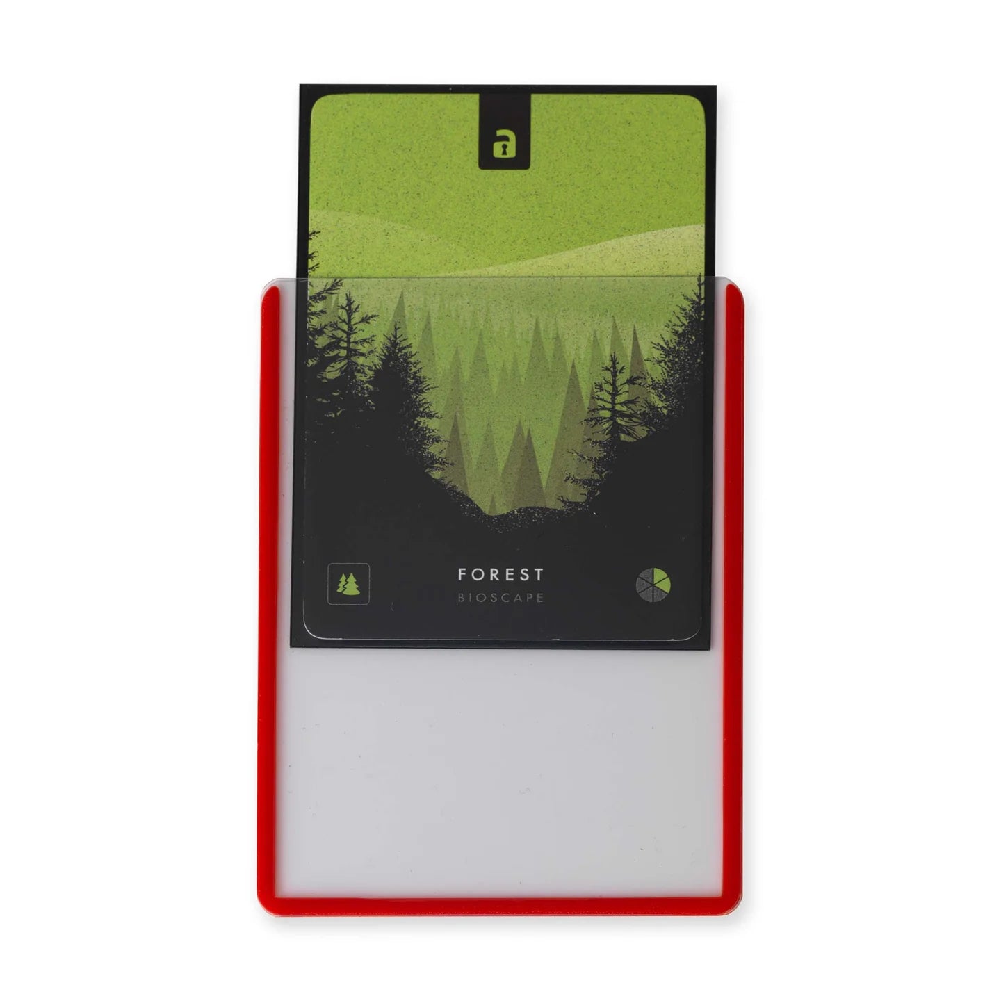 Seamless Rigid Toploaders 35PT Colours